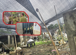 Thanh Hóa: Thu giữ 122 cây muội hồng không rõ nguồn gốc tại nhà dân