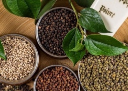 Thị trường nội địa ổn định, xuất khẩu tiêu sang Mỹ tăng vọt gần 61%