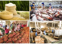 Xuất khẩu nông lâm thủy sản đạt 23 tỷ USD trong 4 tháng