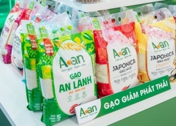 Xây dựng nhãn hiệu “Gạo Việt Xanh phát thải thấp”, nâng tầm hạt gạo Việt