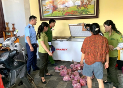 Thanh Hóa: Phát hiện 290 cá thể cò hương cấp đông chờ đưa đi tiêu thụ