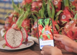 Truy xuất nguồn gốc nông sản: “Hạ tầng mềm” để bứt phá xuất khẩu bền vững