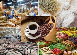 Xuất khẩu nông lâm thủy sản bứt phá mạnh, vượt mốc 30 tỷ USD