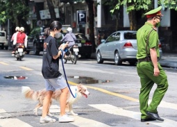 Từ 1/8, phạt tới 2 triệu đồng nếu dắt chó ra đường không rọ mõm