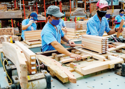 Ngành gỗ Việt tìm dư địa tăng trưởng, hướng đến mục tiêu 25 tỷ USD