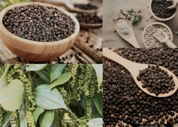 Xuất khẩu tăng tốc, doanh nghiệp hồ tiêu chủ động 'lá chắn' phòng ngừa rủi ro