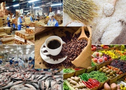 Xuất khẩu nông lâm thủy sản đạt gần 36 tỷ USD trong nửa đầu năm 