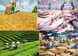 Ngành nông nghiệp và môi trường phải tiên phong chuyển đổi số