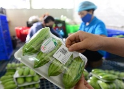 Bộ Công Thương tạm ngưng hiệu lực quy định truy xuất nguồn gốc thực phẩm đến hết 30/9