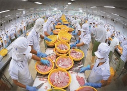 Ngành thủy sản Việt cần tháo gỡ 'điểm nghẽn' để bứt phá