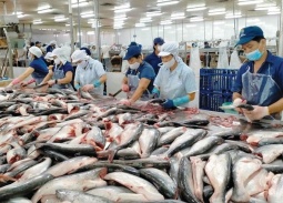 Xuất khẩu thủy sản khởi sắc, hướng tới mục tiêu 12 tỷ USD