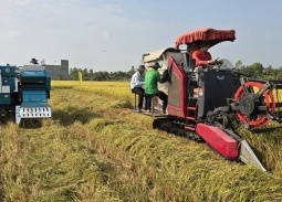 Thúc đẩy lúa gạo phát thải thấp, chìa khóa nâng tầm giá trị hạt gạo Việt