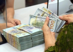 Vi phạm đăng ký doanh nghiệp có thể bị phạt đến 100 triệu đồng