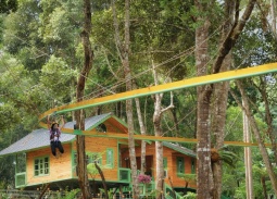 Măng Đen Treehouse được đề cử ‘Làng du lịch tốt nhất thế giới’