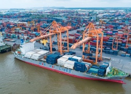 5 giải pháp logistics đột phá nâng tầm sức cạnh tranh cho nông sản Việt