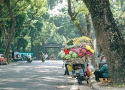 Dự báo thời tiết ngày 31/7: Bắc Bộ hửng nắng, có mưa dông về chiều tối