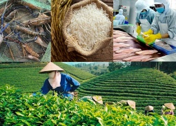 Chiến lược thúc đẩy xuất khẩu nông lâm thủy sản vượt ngưỡng 74 tỷ USD