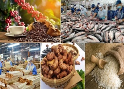 Xuất khẩu nông, lâm, thủy sản tăng trưởng ấn tượng, đạt gần 42,8 tỷ USD