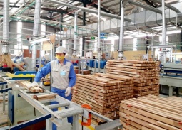 Ngành gỗ cần chuyển đổi xanh và hội nhập bền vững để nâng cao năng lực cạnh tranh