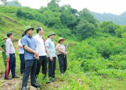 Thanh Hóa: Nước suối Xủ chuyển màu bất thường, địa phương đề nghị xác định nguyên nhân 