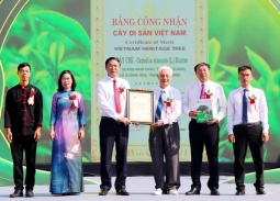 Quảng Ninh: Khai mạc lễ hội “Trà Đường Hoa” và đón Bằng công nhận Cây chè Di sản Việt Nam
