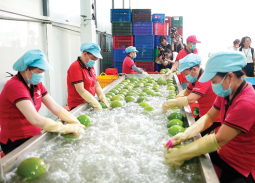 Nông, lâm, thủy sản xuất siêu lớn, khẳng định vai trò 'trụ đỡ' nền kinh tế