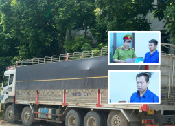 Hưng Yên: Khởi tố, bắt tạm giam 2 người liên quan hơn 18m³ gỗ