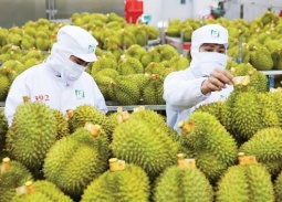 Xuất khẩu rau quả Việt Nam tăng trưởng mạnh, hướng đến mốc 10 tỷ USD