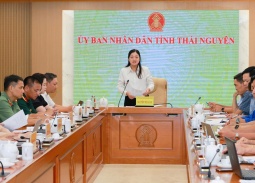 Thái Nguyên tăng tốc chuẩn bị Festival Trà Quốc tế năm 2026
