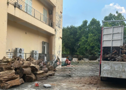 Vụ vận chuyển hơn 18m³ gỗ từ Thanh Hóa ra Hưng Yên: Xác định thuộc nhóm IA