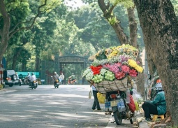 Dự báo thời tiết ngày 9/9: Bắc Bộ ngày nắng, có mưa dông về chiều tối
