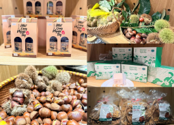 Sức sống hàng Việt số 13: Đưa đặc sản Cao Bằng chinh phục thị trường Thủ đô