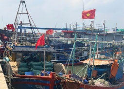 Nghệ An thực hiện nghiêm túc các khuyến nghị về chống khai thác IUU