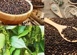 Ngành tiêu tăng tốc xuất khẩu và bài toán giữ thị phần