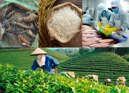 Biến danh tiếng vùng đất thành sức cạnh tranh cho hàng nông sản