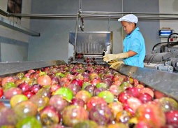 EU siết chặt quy định môi trường, doanh nghiệp Việt cần chủ động thích ứng