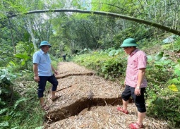 Thanh Hóa di dời khẩn cấp 180 người khỏi khu vực nguy cơ sạt lở
