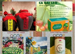 Xây dựng thương hiệu, mở rộng thị trường và gia tăng giá trị sản phẩm OCOP