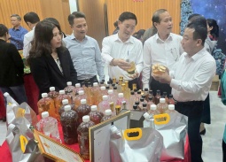 Nghệ An cho ý kiến về tiêu chí nông thôn mới và phát triển sản phẩm OCOP
