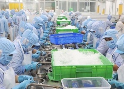 Xây dựng hệ sinh thái hỡ trợ doanh nghiệp đón sóng các hiệp định thương mại tự do