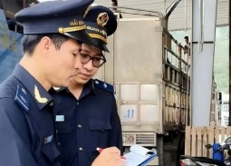 Hải quan kiến nghị tháo gỡ vướng mắc đối với urê nhập khẩu