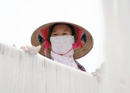 Từ nguy cơ mai một, làng nghề truyền thống mì gạo Hùng Lô tìm đường ra thị trường quốc tế