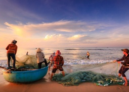 Nước Mắm Nam Ô - “Báu vật” của làng chài cổ