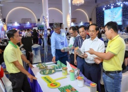 Từ “Con nước mới” đến khát vọng thịnh vượng: Cà Mau bứt phá bằng đổi mới sáng tạo