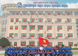 Lan tỏa niềm tự hào dân tộc từ những lá cờ nhỏ