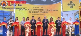Danko khai trương phòng bán hàng, nhà mẫu ICID Complex chuẩn Singapore
