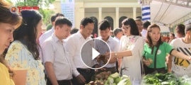 Chính thức ra mắt hệ thống truy xuất nguồn gốc nông sản an toàn của Hà Nội