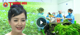 NSUT Chiều Xuân với nhiệm vụ đại sứ thương hiệu thực phẩm sạch của Công ty CP đầu tư An Hoà