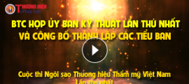 Họp Ủy ban kỹ thuật và thành lập các Tiểu ban của Cuộc thi Ngôi sao THTMVN