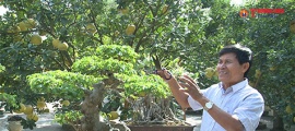 Nghệ nhân Nguyễn Văn Khuyến - Người 'Thổi hồn' cho cây